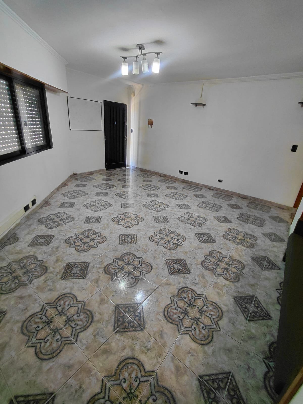 Galería Raíces 3
